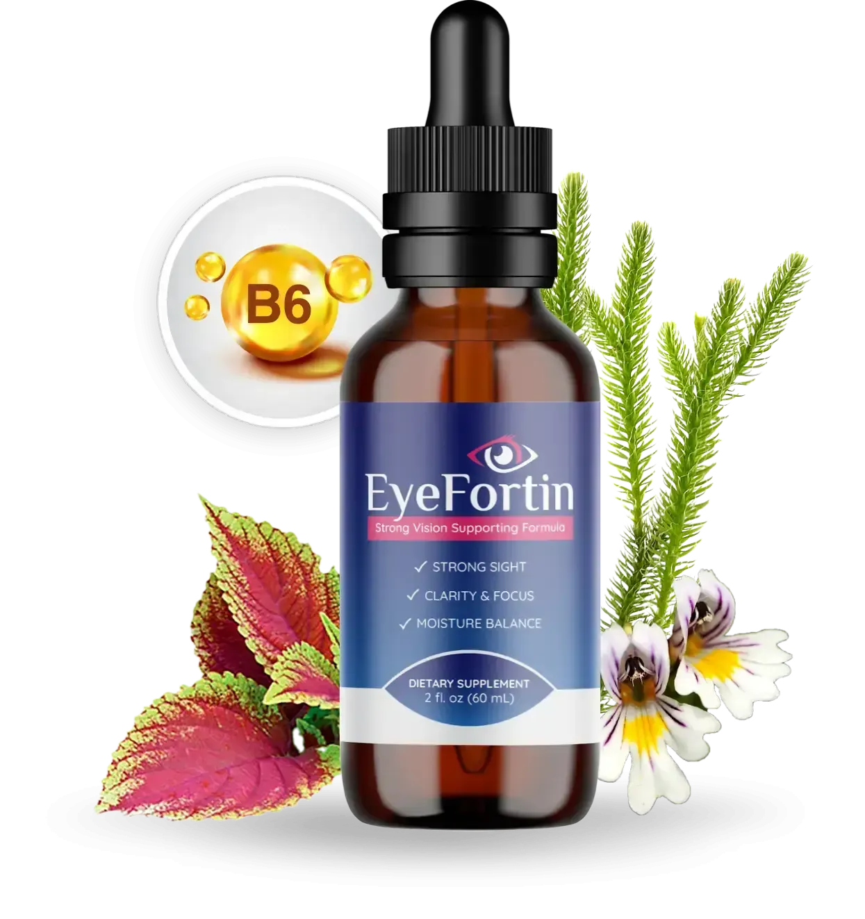EyeFortin official website